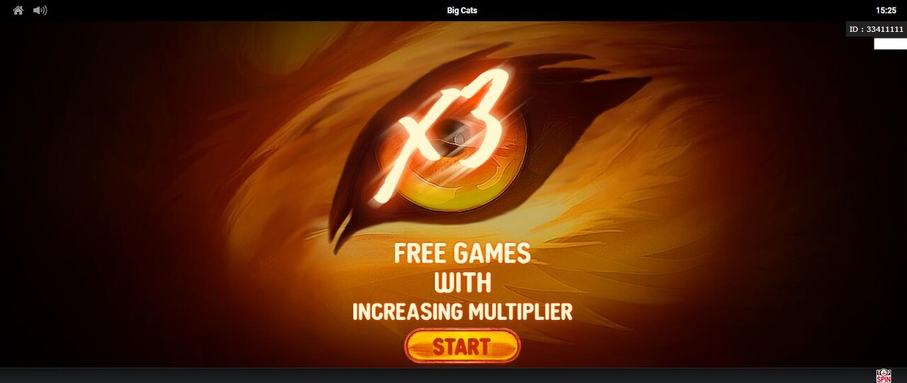 How To Play