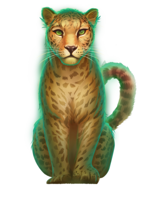 Indian Leopard