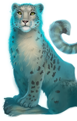 Indian Snow Leopard
