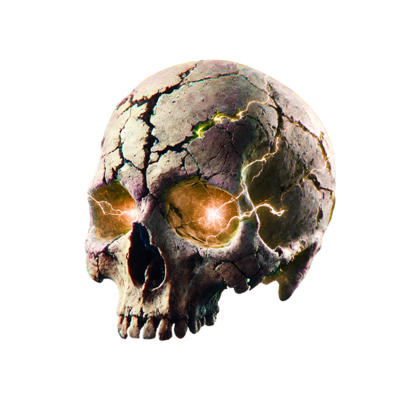 L1 Skull