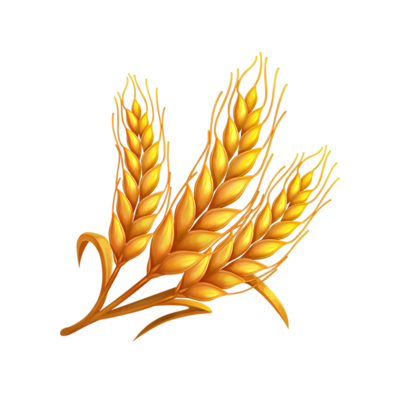 H4 Wheat Plant