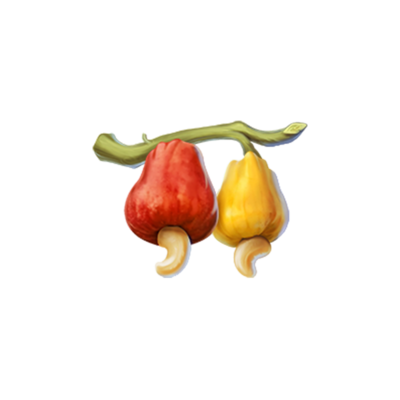 Topspins Love Goa Cashew Symbol