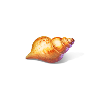 Topspins Love Goa Conch Symbol