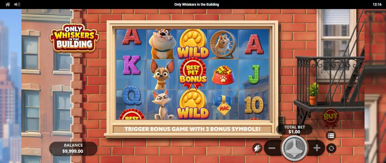 Bonus Tile Reveal